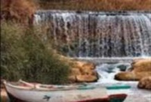 Fayoum Full Day Tour